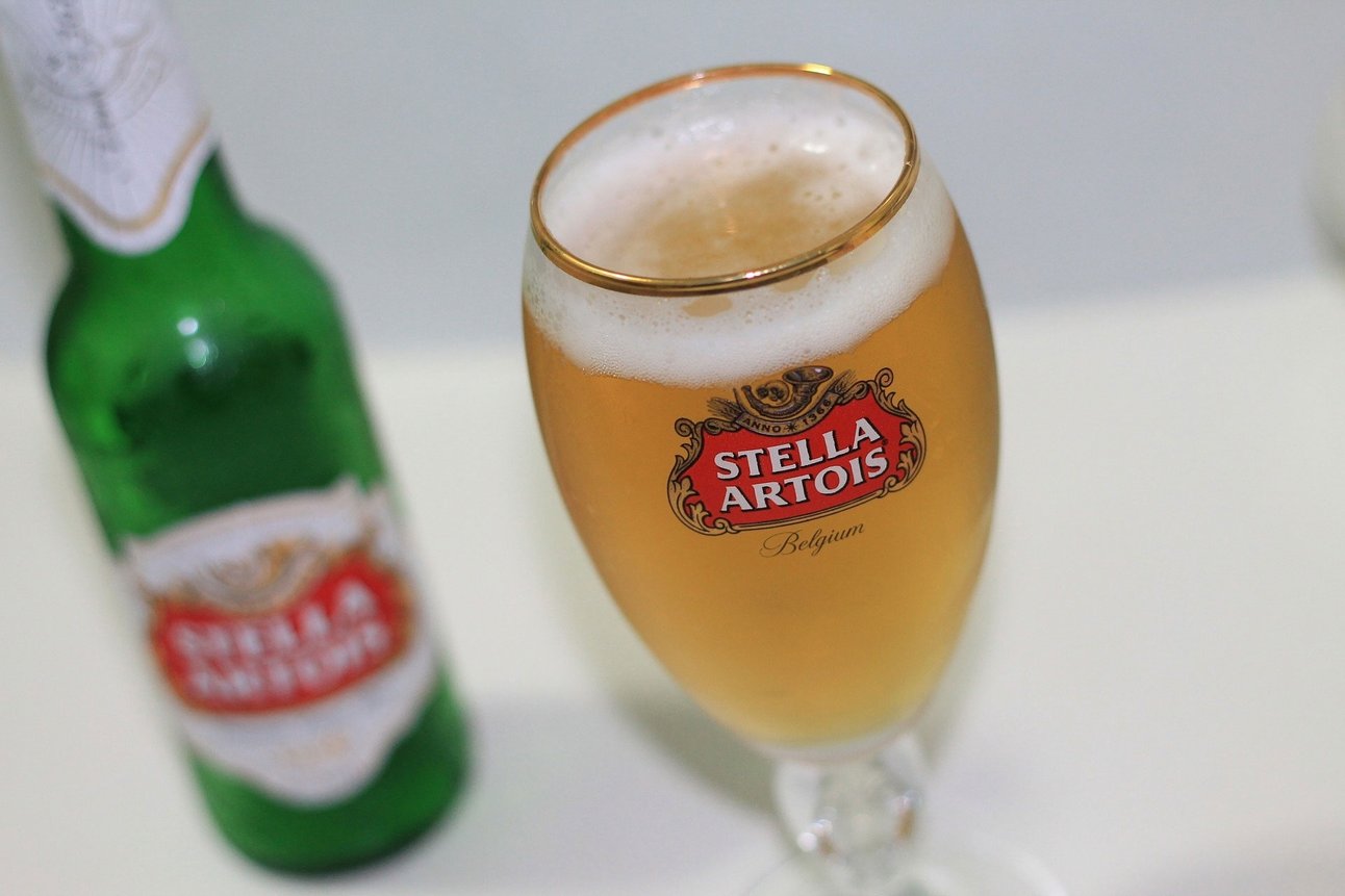 20191128151818281_stella.jpg