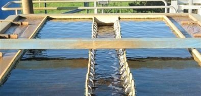 201951492743578_tack-water.jpg