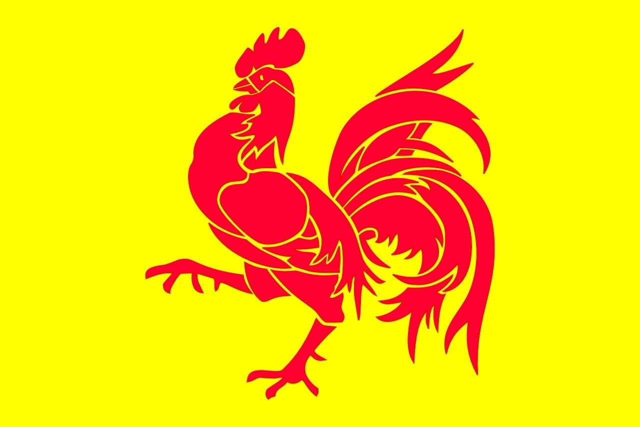 2020111716439204_wallonie.jpg
