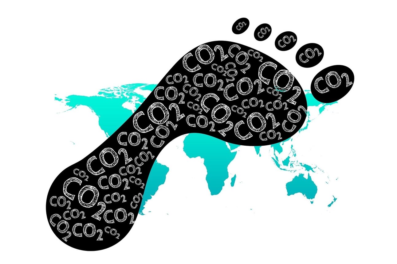202091011562958_carbon-footprint.jpg