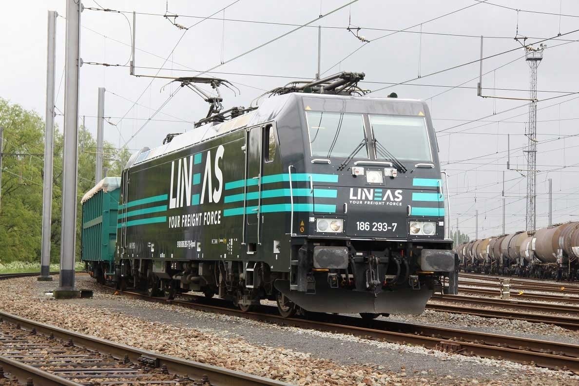 2020922144213585_lineas.jpg