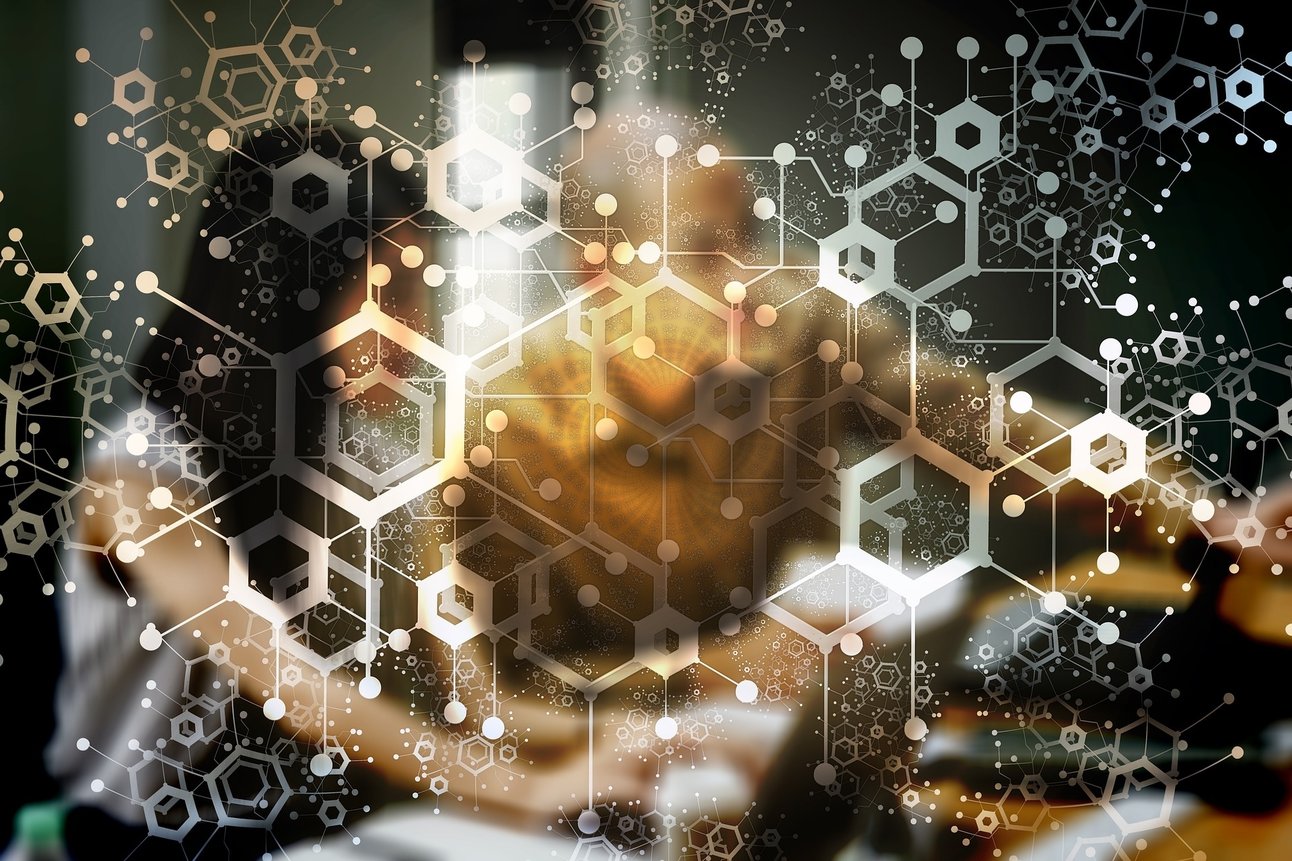 202191585859300_foto-4-gartner.jpg