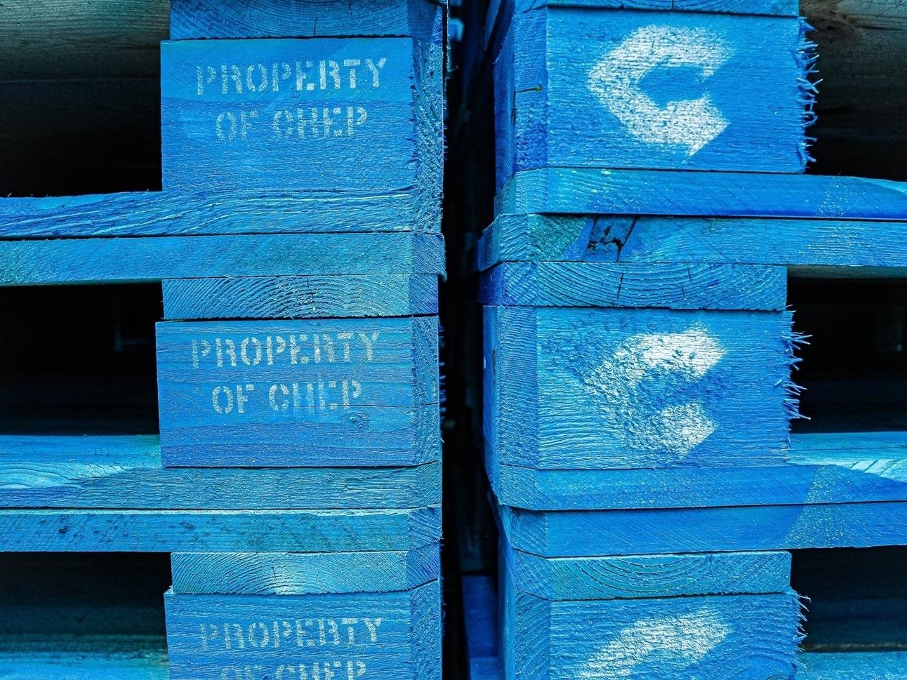 202267133640332_chep.jpg