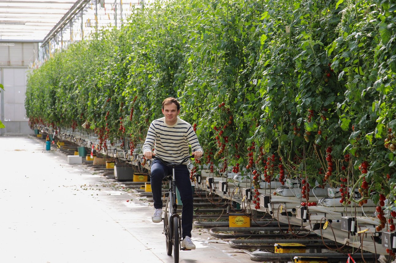 2022714133813344_foto-1-stoffels-tomaten-lode-erreygers.jpg