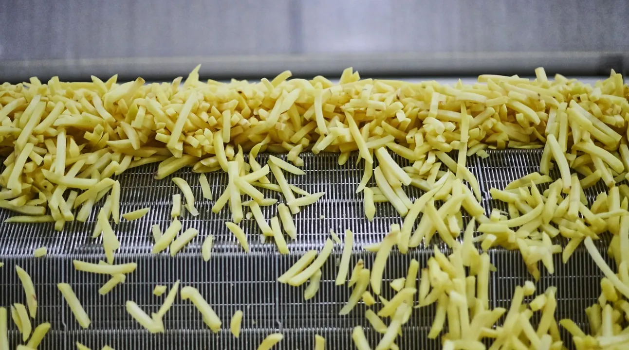 FOTO4 Agristo frieten (Groot)