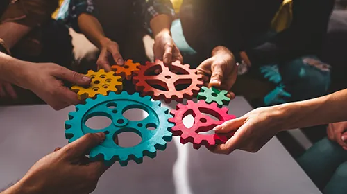 Foto 2_shutterstock_2270669753