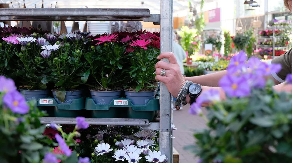 Foto 3_Eventueel_klein