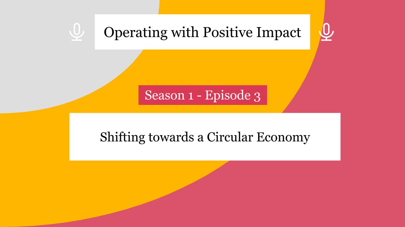 operating-with-positive-impact-value-chain-visual