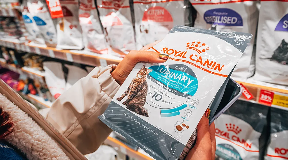 shutterstock_2700239637_klein